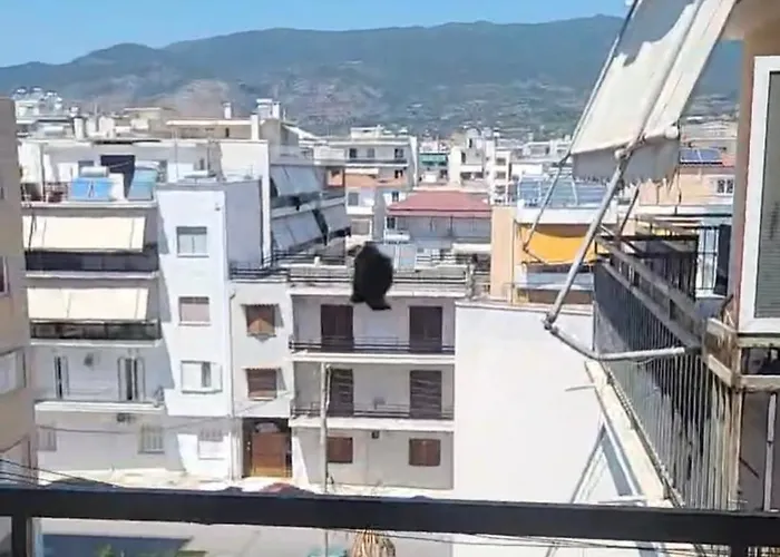 Апартаменты Memory Lane Каламата